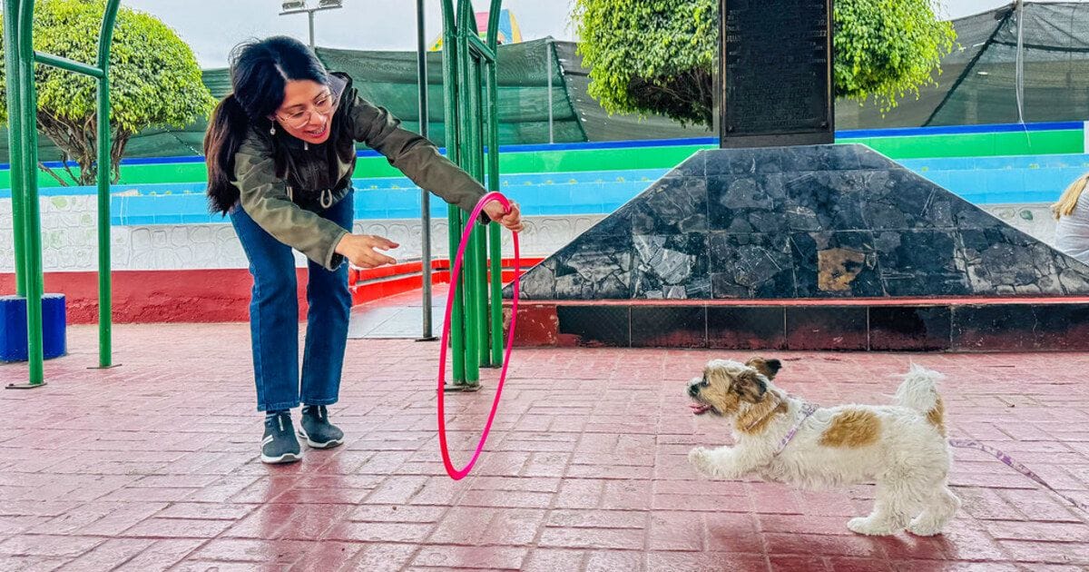 Edwards Infante en campaña veterinaria por los animalitos carmelinos